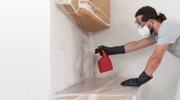 Professional Mold Remediation technician working in Rancocas, NJ