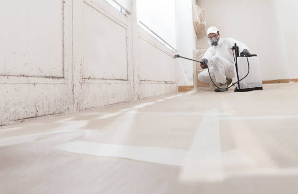 24/7 Emergency Mold Remediation experts in Rancocas, NJ